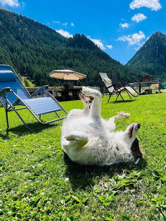 Chalet Sunshine Livigno Ngoại thất bức ảnh