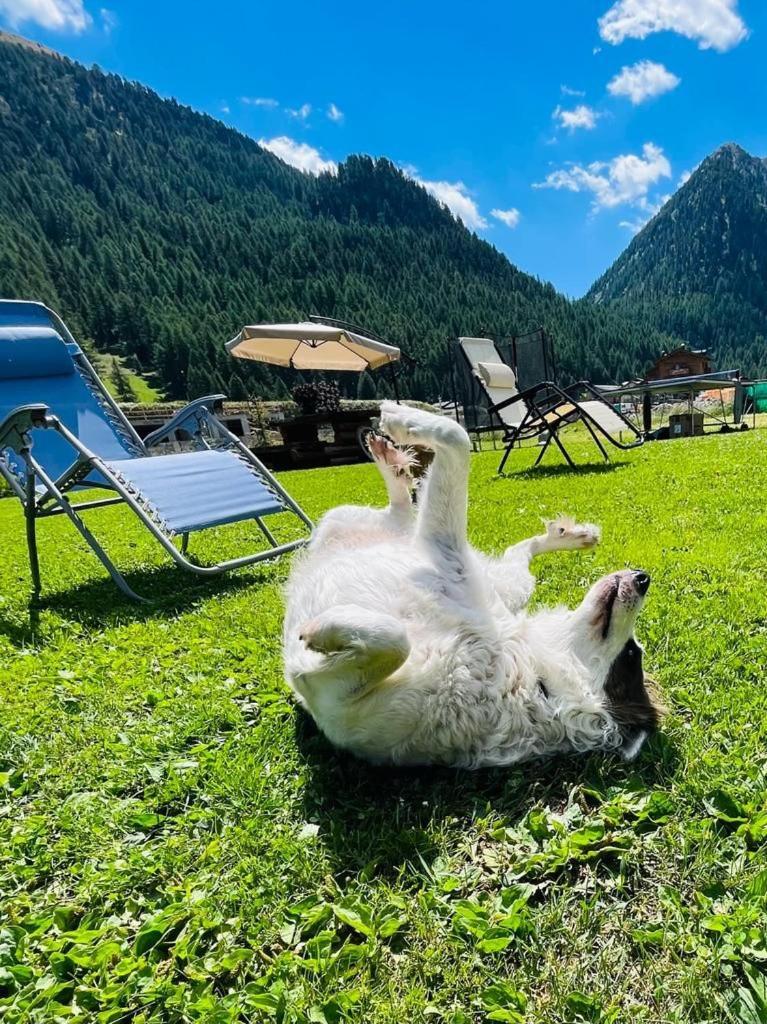 Chalet Sunshine Livigno Ngoại thất bức ảnh